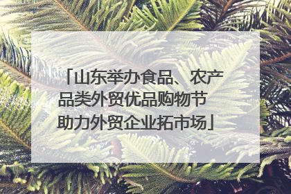 山东举办食品、农产品类外贸优品购物节 助力外贸企业拓市场