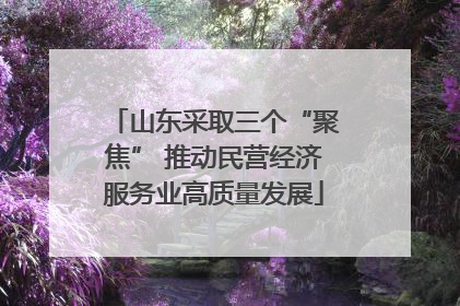 山东采取三个“聚焦” 推动民营经济服务业高质量发展
