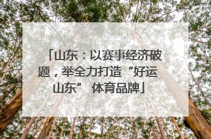 山东：以赛事经济破题，举全力打造“好运山东” 体育品牌