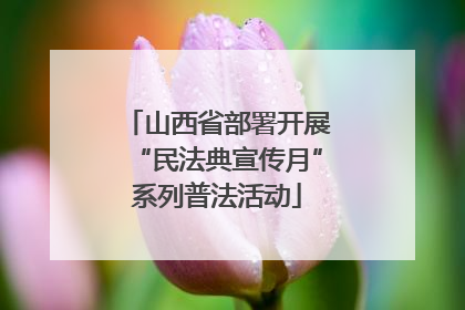 山西省部署开展“民法典宣传月”系列普法活动