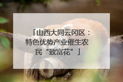 山西大同云冈区：特色优势产业催生农民“致富花”