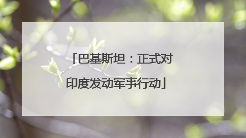 巴基斯坦：正式对印度发动军事行动