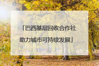 巴西基层回收合作社助力城市可持续发展