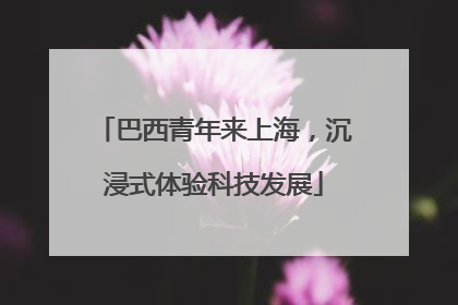 巴西青年来上海，沉浸式体验科技发展