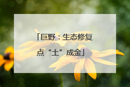 巨野：生态修复点“土”成金