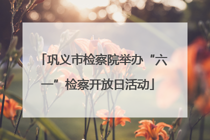 巩义市检察院举办“六一”检察开放日活动