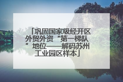 巩固国家级经开区外贸外资“第一梯队”地位——解码苏州工业园区样本