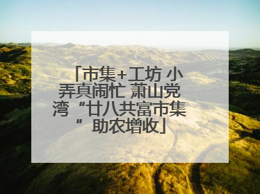 市集+工坊 小弄真闹忙 萧山党湾“廿八共富市集”助农增收