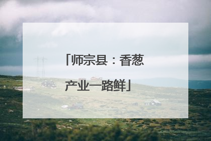 师宗县：香葱产业一路鲜