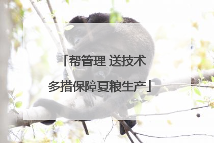 帮管理 送技术 多措保障夏粮生产