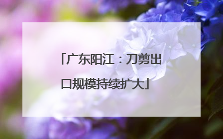 广东阳江：刀剪出口规模持续扩大