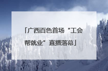 广西百色首场“工会帮就业”直播落幕