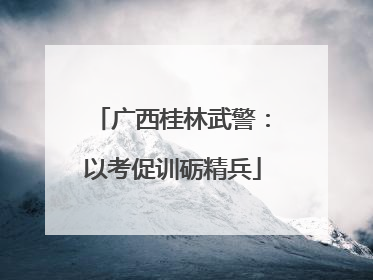 广西桂林武警：以考促训砺精兵
