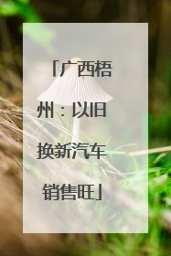 广西梧州：以旧换新汽车销售旺