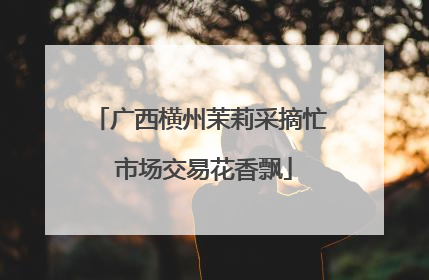 广西横州茉莉采摘忙 市场交易花香飘