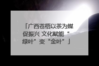 广西苍梧以茶为媒促振兴 文化赋能“绿叶”变“金叶”