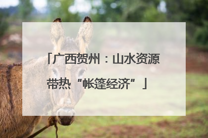 广西贺州：山水资源带热“帐篷经济”