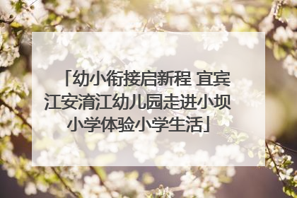 幼小衔接启新程 宜宾江安淯江幼儿园走进小坝小学体验小学生活