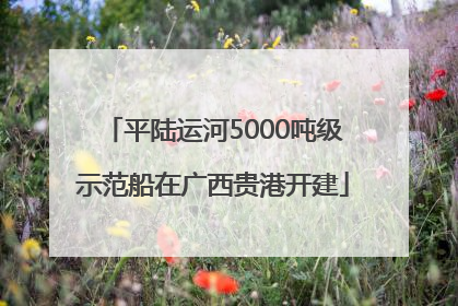 平陆运河5000吨级示范船在广西贵港开建