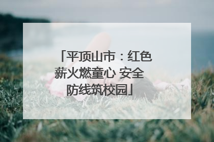 平顶山市：红色薪火燃童心 安全防线筑校园
