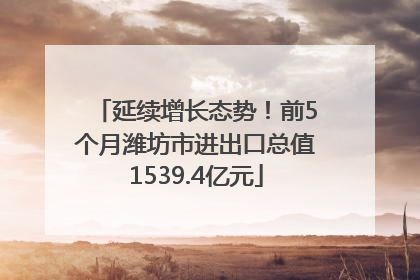 延续增长态势！前5个月潍坊市进出口总值1539.4亿元
