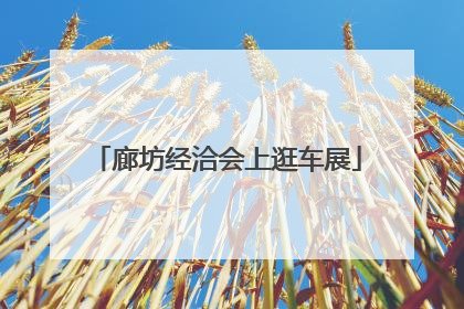 廊坊经洽会上逛车展