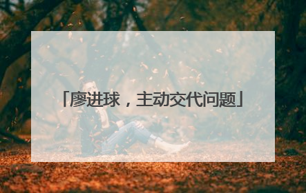 廖进球，主动交代问题