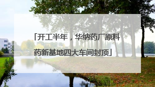 开工半年，华纳药厂原料药新基地四大车间封顶