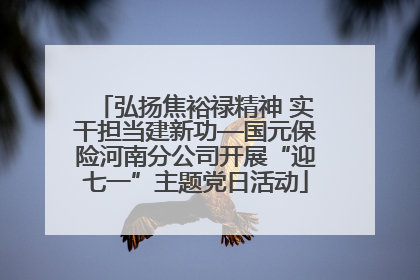 弘扬焦裕禄精神 实干担当建新功—国元保险河南分公司开展“迎七一”主题党日活动