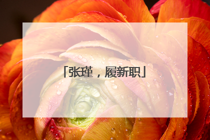 张瑾，履新职