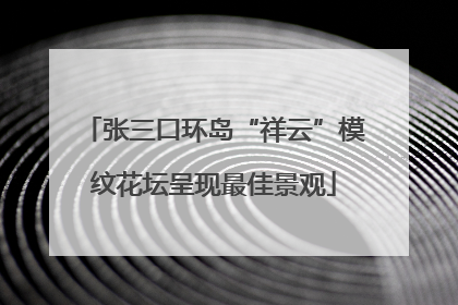 张三口环岛“祥云”模纹花坛呈现最佳景观