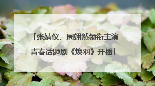 张婧仪、周翊然领衔主演 青春话题剧《焕羽》开播