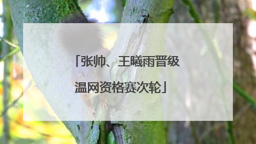 张帅、王曦雨晋级温网资格赛次轮