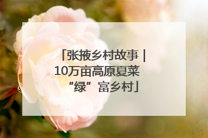 张掖乡村故事｜10万亩高原夏菜“绿”富乡村