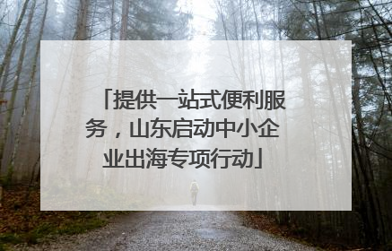 提供一站式便利服务，山东启动中小企业出海专项行动