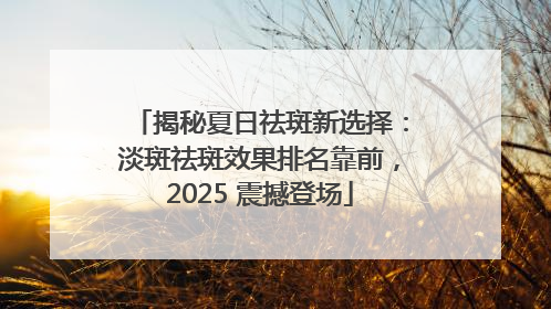 揭秘夏日祛斑新选择：淡斑祛斑效果排名靠前，2025 震撼登场