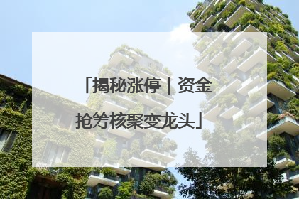 揭秘涨停｜资金抢筹核聚变龙头