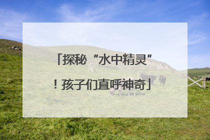 探秘“水中精灵”！孩子们直呼神奇