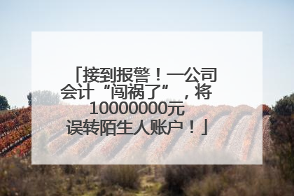 接到报警！一公司会计“闯祸了”，将10000000元误转陌生人账户！