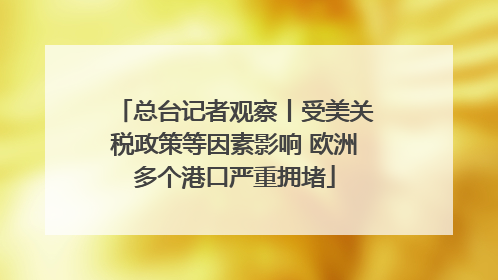 总台记者观察丨受美关税政策等因素影响 欧洲多个港口严重拥堵