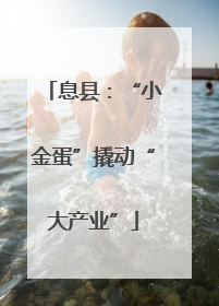 息县：“小金蛋”撬动“大产业”