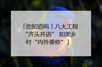 您知道吗丨八大工程“齐头并进” 和美乡村“内外兼修”