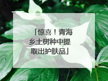 惊喜！青海乡土树种中提取出护肤品