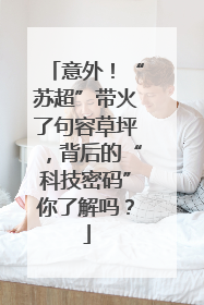 意外！“苏超”带火了句容草坪，背后的“科技密码”你了解吗？