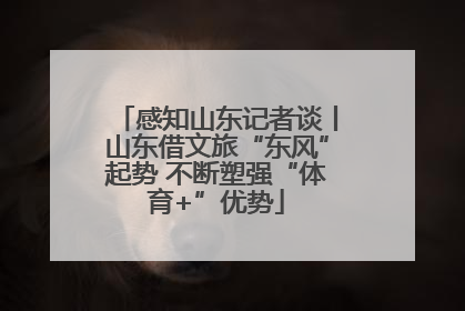 感知山东记者谈丨山东借文旅“东风”起势 不断塑强“体育+”优势