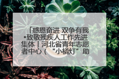 感恩奋进 双争有我•致敬残疾人工作先进集体丨河北省青年志愿者中心（“小橘灯”助残接力计划实施团队）：用温暖陪伴，守护特殊孩子成长