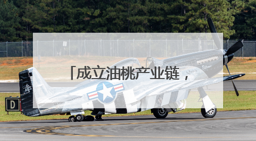 成立油桃产业链，建立“常态一季一议、要事一事一议”联席议事机制，山东省日照市莒县果庄镇——13个党小组“全周期”育果