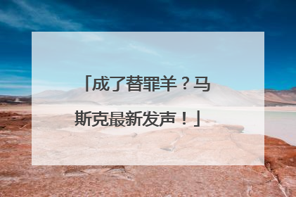 成了替罪羊？马斯克最新发声！