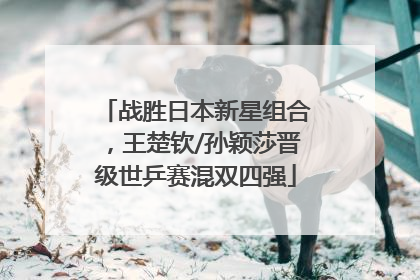 战胜日本新星组合，王楚钦/孙颖莎晋级世乒赛混双四强