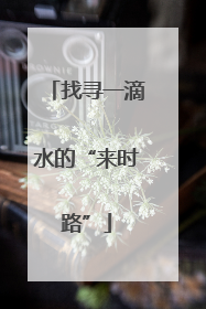 找寻一滴水的“来时路”